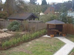 Bambus 'Jumbo' -Edelrosen Geschaft bambus jumbo m006996 271123 0