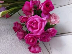 Edelrose 'Parole' ® -Edelrosen Geschaft edelrose parole m006084 578977 0