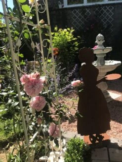 Kletterrose 'Giardina' ® -Edelrosen Geschaft kletterrose giardina m054940 193676 0