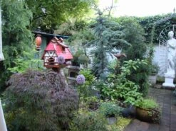 Riesen-Lauch -Edelrosen Geschaft riesen lauch m012567 579159 0