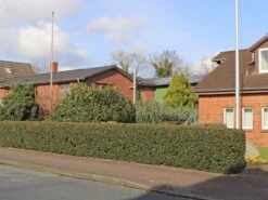 Stechpalme 'Blue Prince' ® -Edelrosen Geschaft stechpalme blue prince m002456 w 0