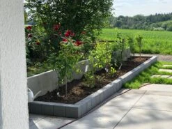 Vogelnährgehölze Aus 10 Pflanzen -Edelrosen Geschaft vogelnaehrgehoelze aus 10 pflanzen m010235 1448439 0