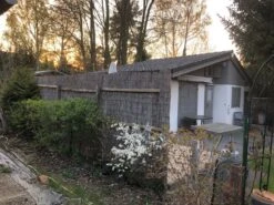 Vogelnährgehölze Aus 10 Pflanzen -Edelrosen Geschaft vogelnaehrgehoelze aus 10 pflanzen m010235 565902 0